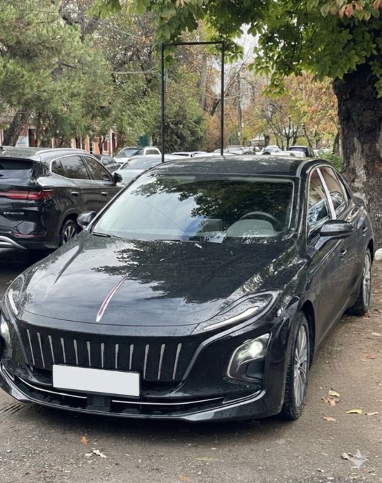 Сухой аренда BYD Yuan Up Юан Ап Сигл Seagull seagle  Сигул