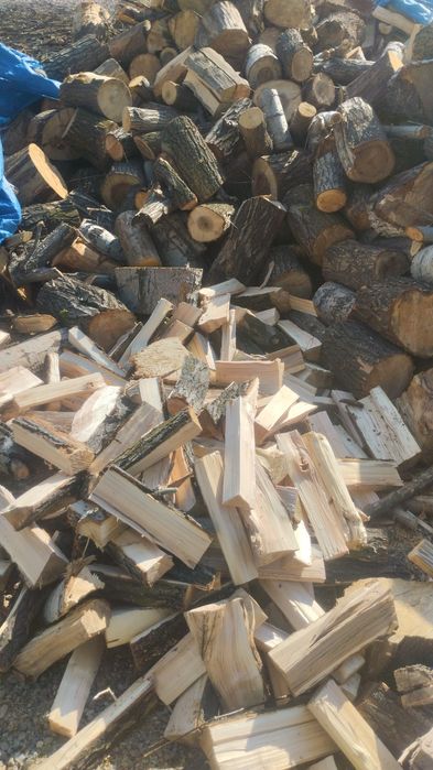 Дрова колотые высших сортов