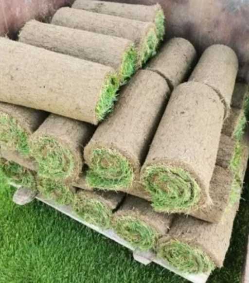 Transformă-ți Curtea Acum – Gazon Premium cu Montaj Inclus