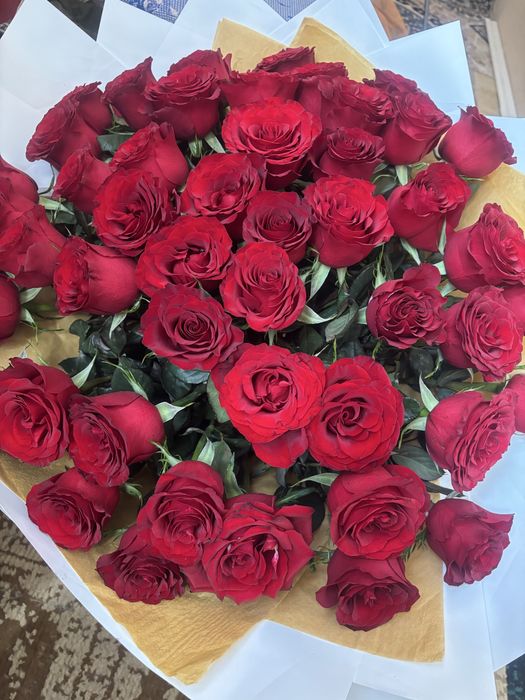 51 штук роза свежая