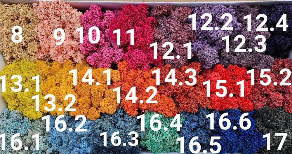 Скандинавски мъх 6 лв. за 100 г.