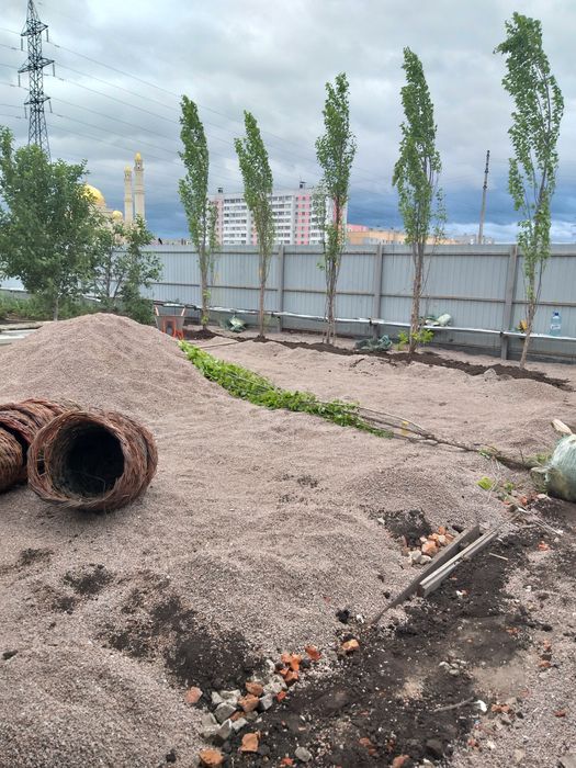 Посадка газона газон под ключ
