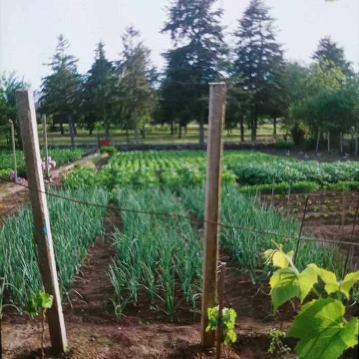 Продава се Къща в с. Соколово, Област Добрич - 200 кв.м за 420 €/кв.м - Снимка #5