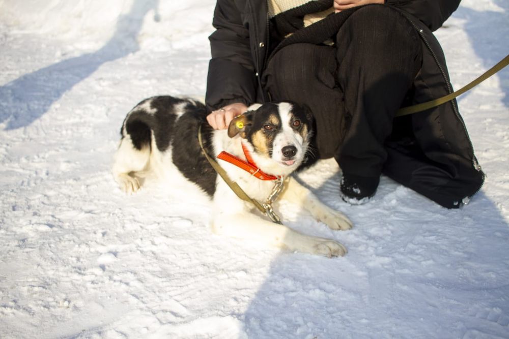 Забери меня домой