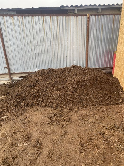 Навоз лошадиный бесплатно