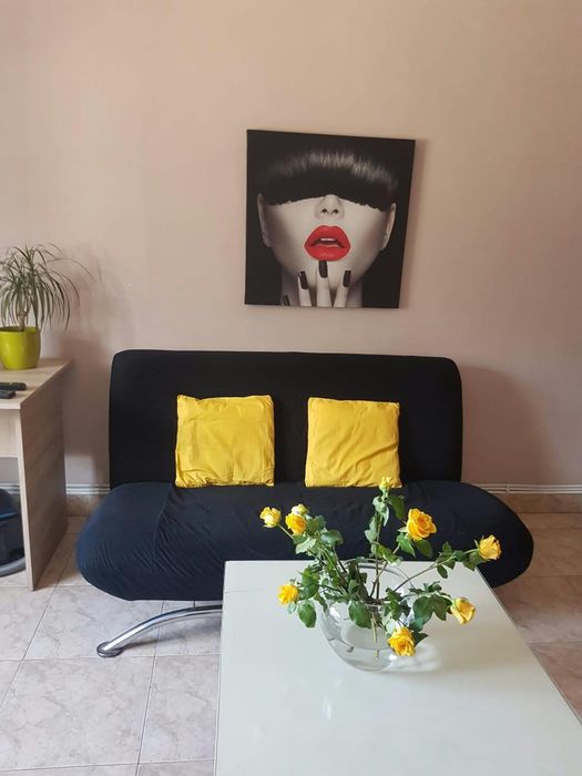 Ap 3 camere decomandat, parter, Aleea Nicolina 13, complet mobilat si utilat
