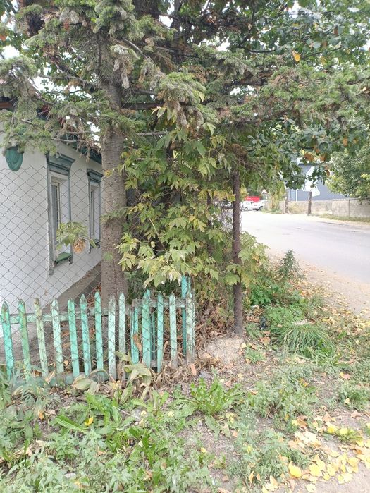 Продам дом пос.Красина