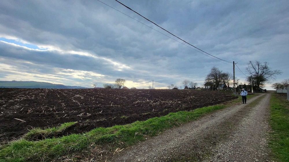 5400 mp intravilan construibil, 30m deschidere, Curent la teren, CU eliberat, Bucovina Mica Iasi
