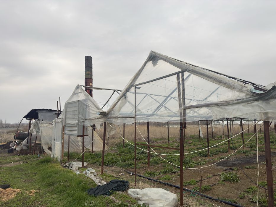 Yer arendaga beriladi