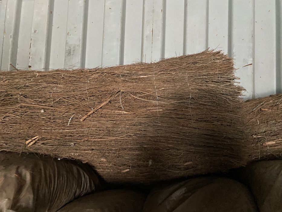 Кара сосны в мешках