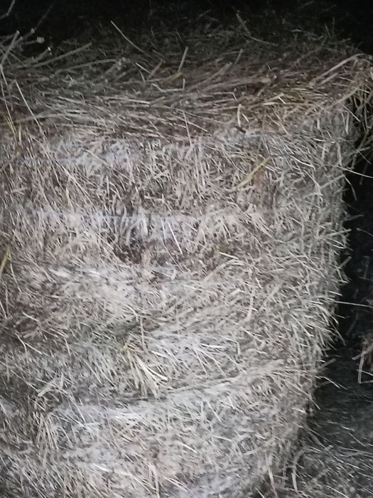 Baloți rotunzi otavă