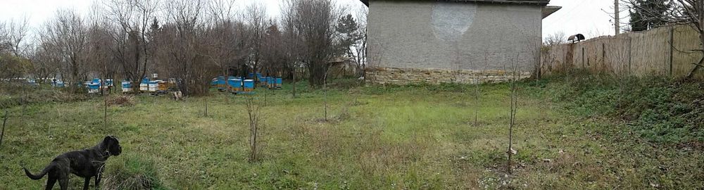 Тухлена къща !!! и  селскостопански постройки  село Горна Кабда