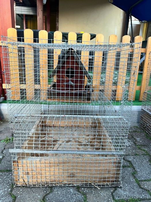 Cusca  animale mici (veverite,porcusori,etc)