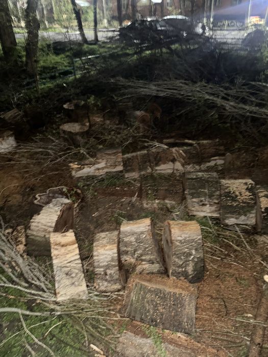 Ағаш алатындар, ағаш қабылдайтындар