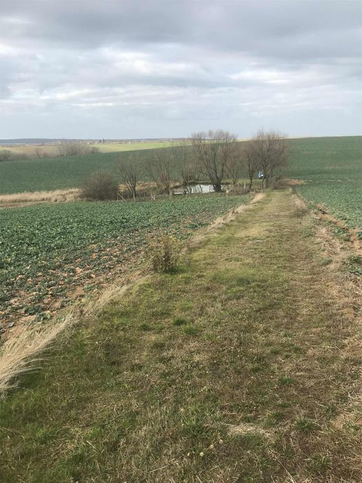 De vânzare baltă de pescuit