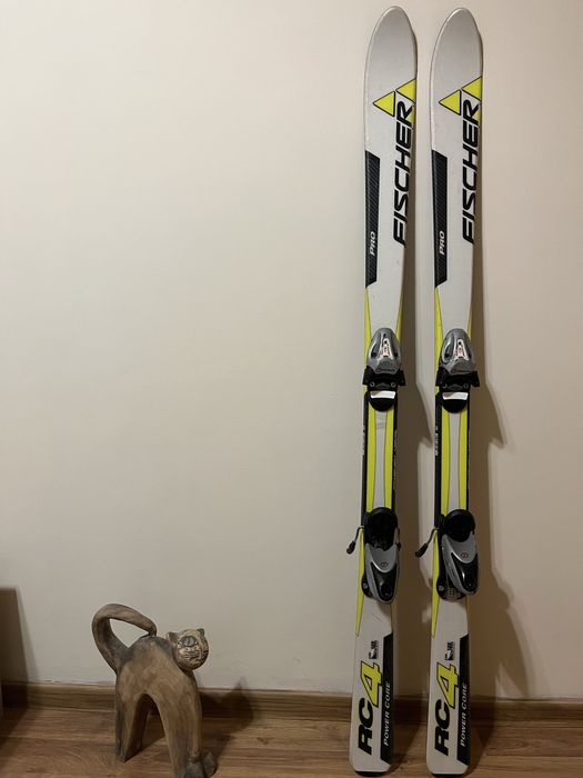 Ски Fisher Pro