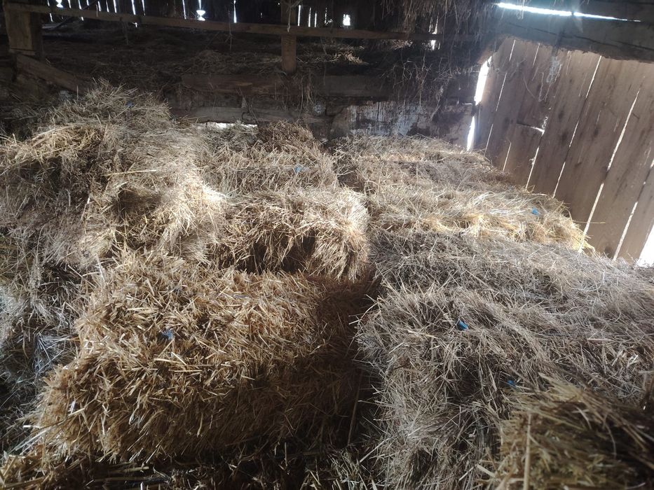 Vând baloți de fan