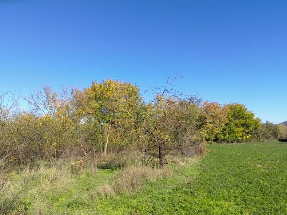 Продава равен парцел в регулация 991 кв.м – с. Могила, обл. Шумен