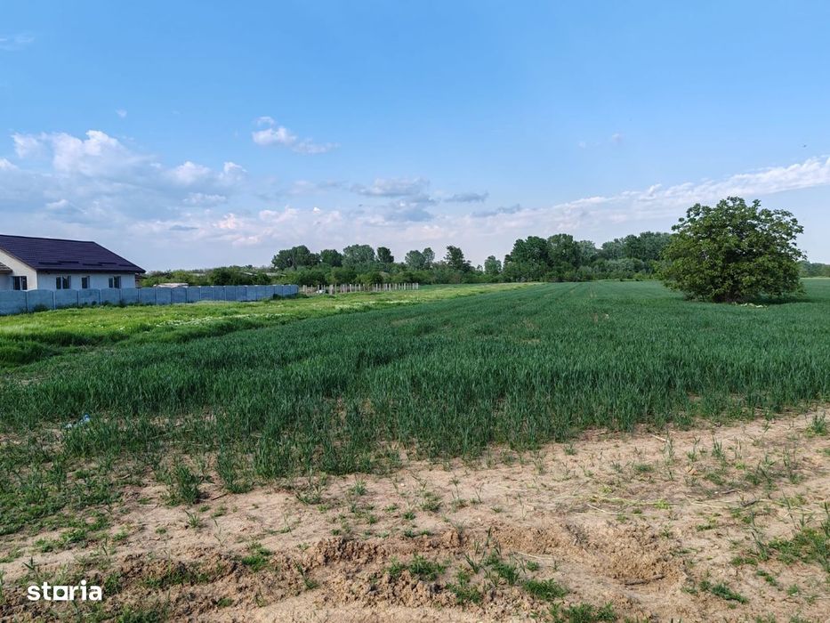 Teren de vânzare 9.200 mp  Deschidere 29 ml  Clinceni, Str. Vulturului