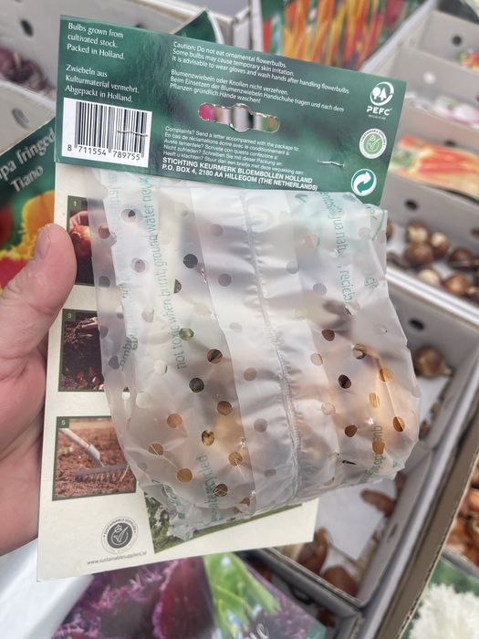 Ирисы сортовые - луковичные