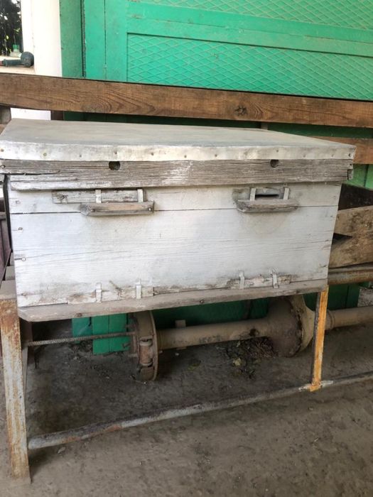 Улья пчелиные