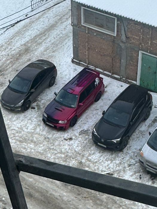 Костоправ маляр полировка