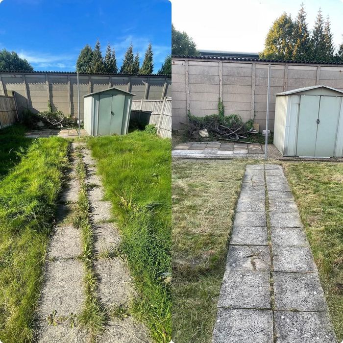 Servici Gradinarit , Spati verzi, Scari de bloc, tuns garduri, Gazon