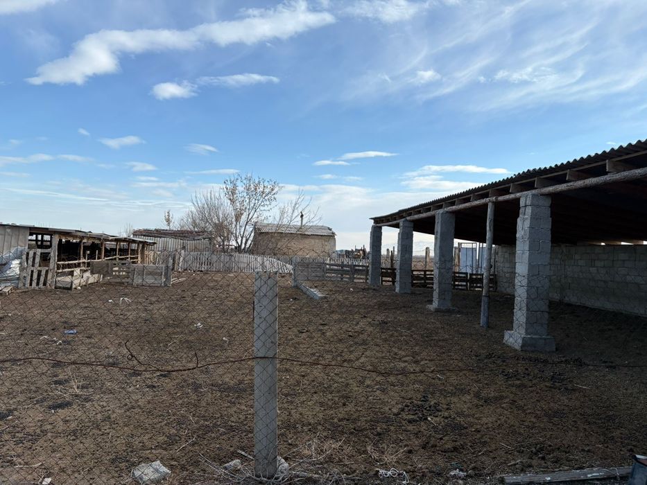 Фазенда мал баққанға өте ыңғайлы