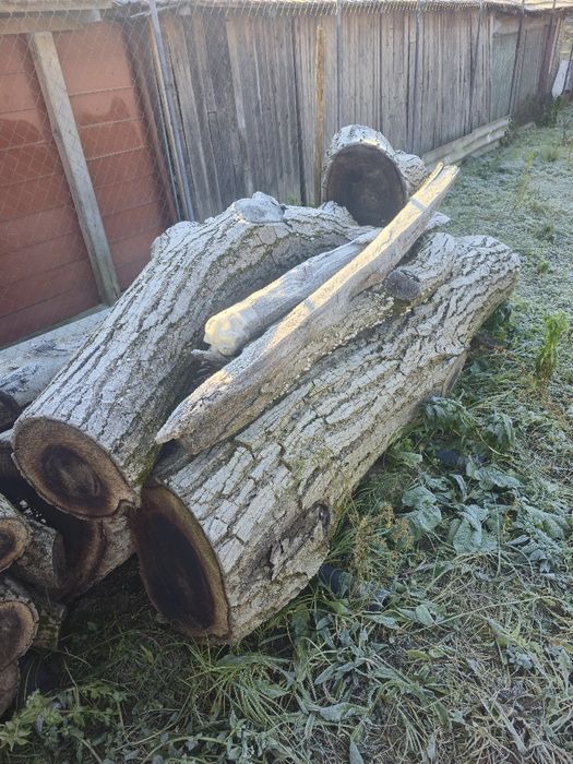 Vand lemn de NUC pret  NEGOCIABIL