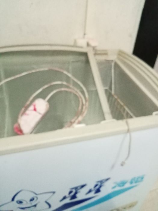 Прадам моразилник