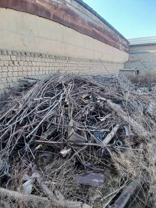 Oʻtim sotiladi продаётся дрова