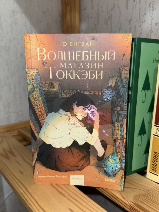 Волшебный магазин токкэби книга