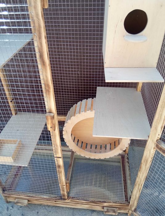 Клетка для белки, белок, белочек