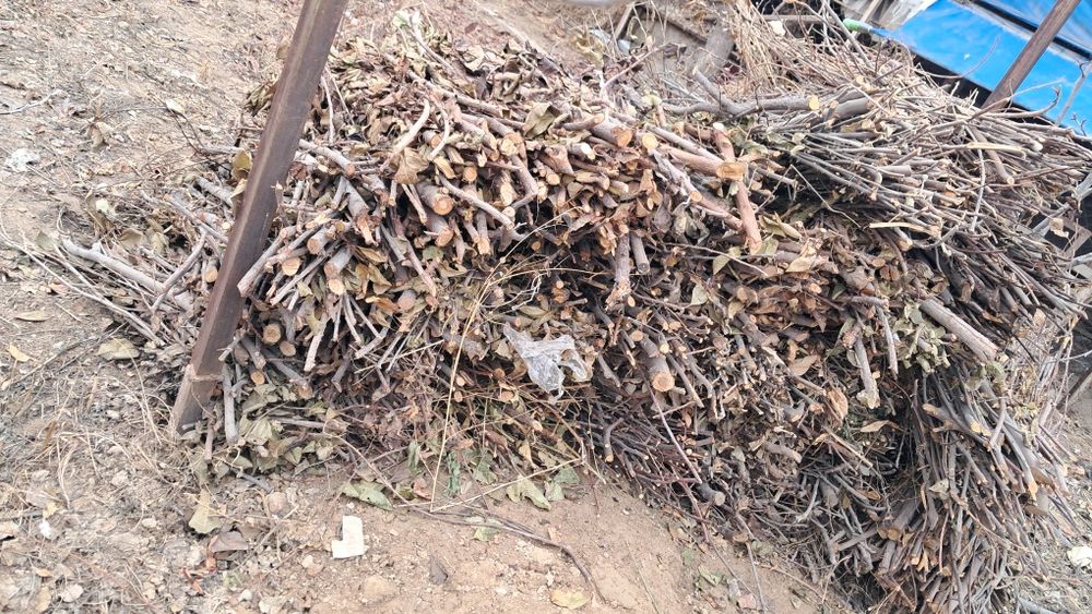 Shox o‘tin tayyor bog‘langan holatda