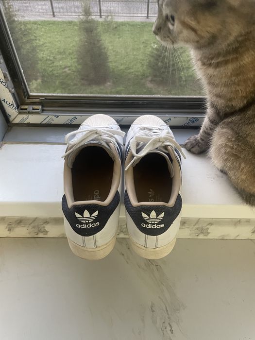 Adidas Superstar кеды