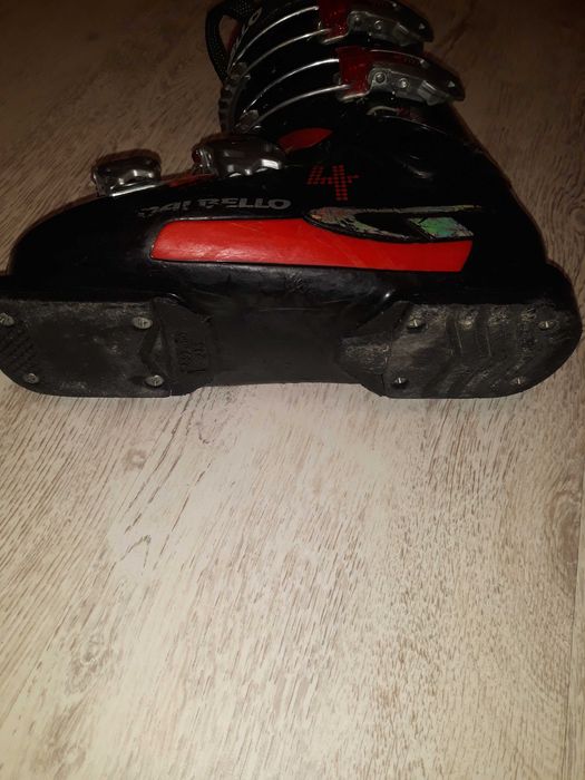 Vând clapari Dalbello