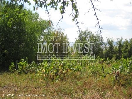 Продава се Парцел в Карлово - 620 кв.м за 41 €/кв.м - Снимка #4