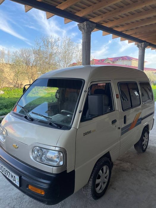 2019 tayyor damas yurishlari zoʻr