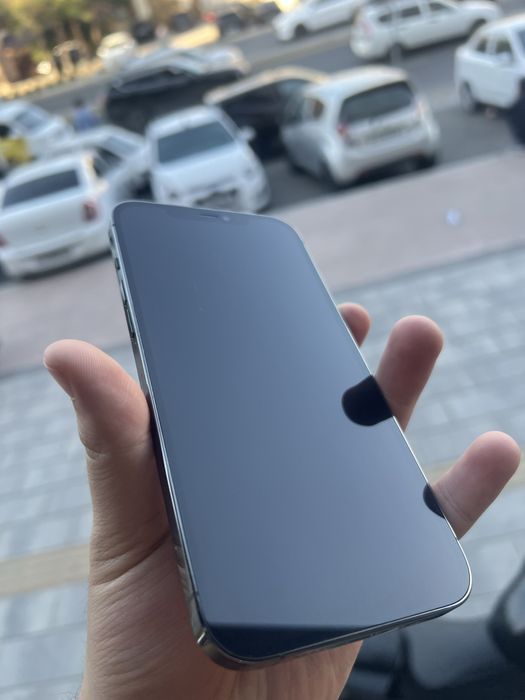 12Pro Max hammayogi radnoy