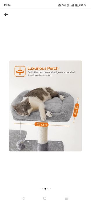 Ansamblu joaca pisici