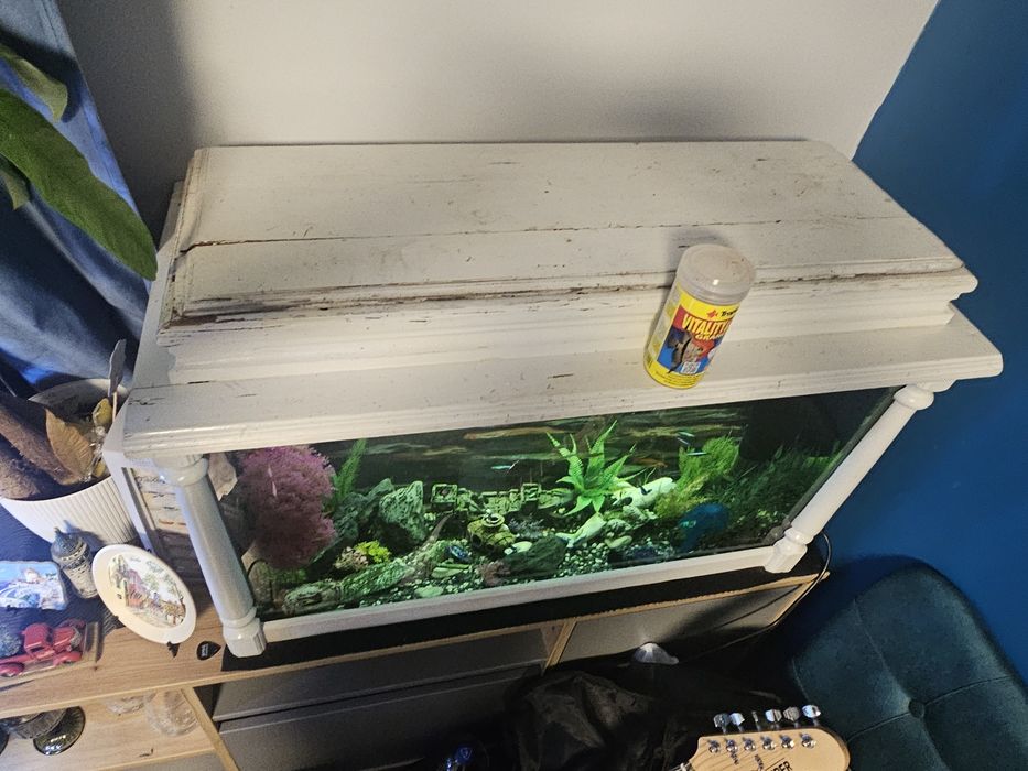 Аквариум с рибки действащ оборудван