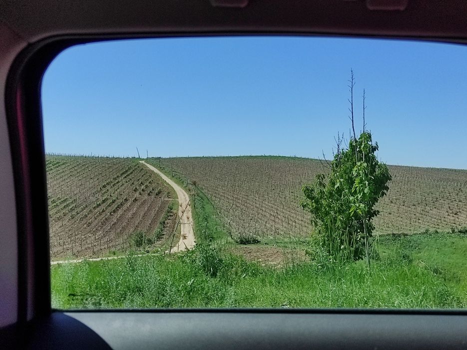 Tv ROISON pulti yoʻq