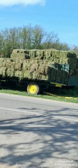 Trifoi de vânzare prima coasă
