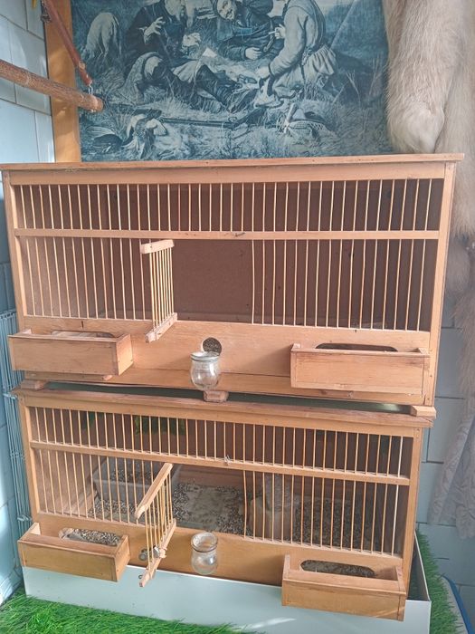 Клетки для жаворонков.