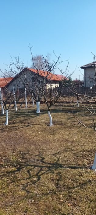 Servicii complete de grădinărit