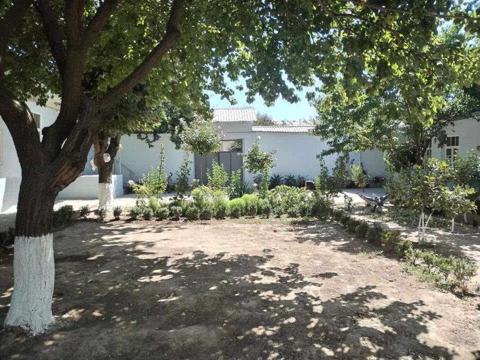 Xasanboyda uy sotiladi yer xisobida: 13,66 cotix