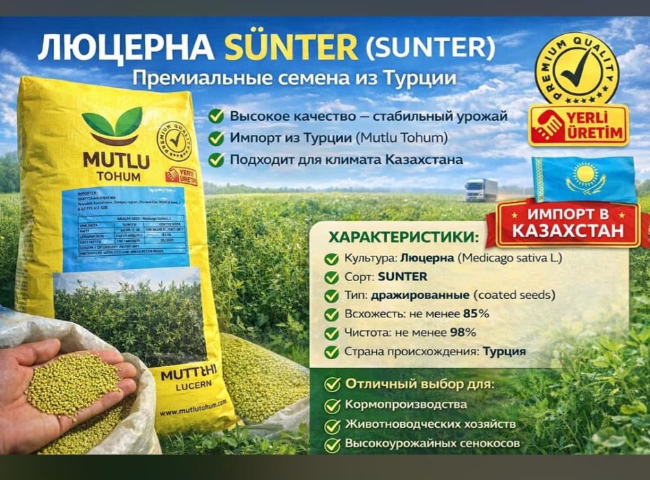 "Мутлу" жоңышқа ұрығы