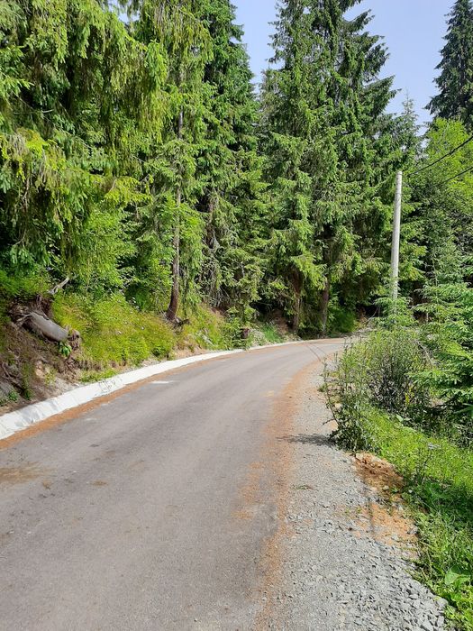 Vand Teren Belis aproape de lac