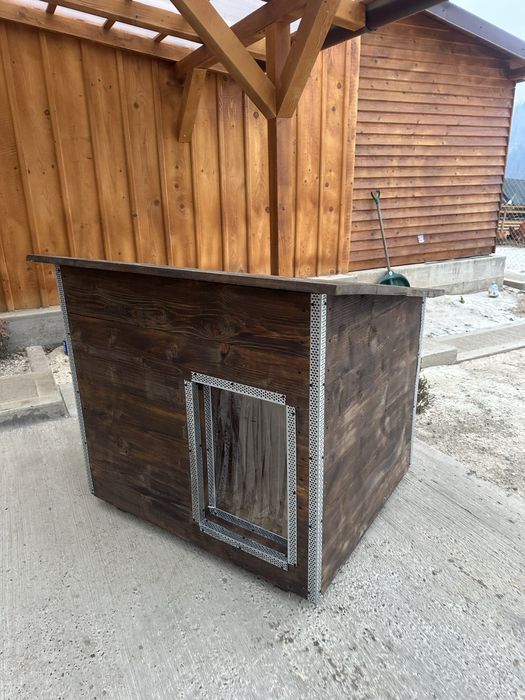 Cuşcă Câine Izolată Talie Mare lemn masiv