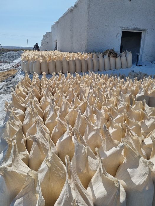 GIPS G7 G5  Albastir Ganch